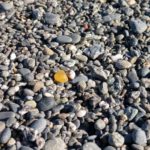 Agate in Oregon Coast Gravel