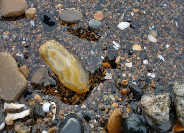 Rockhounding At The Chetco River And Brookings, Oregon - AgateHunting.com